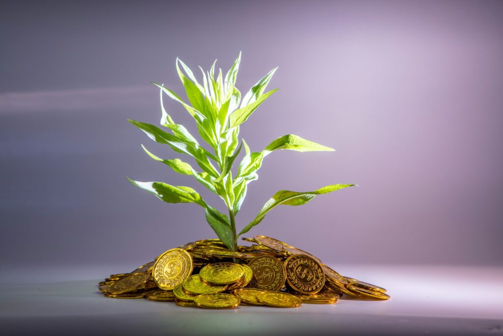 Il potere dell’interesse composto: come funziona e perché è importante